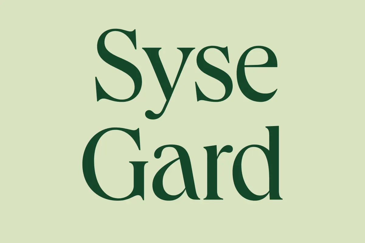 Syse Gard bilde 5