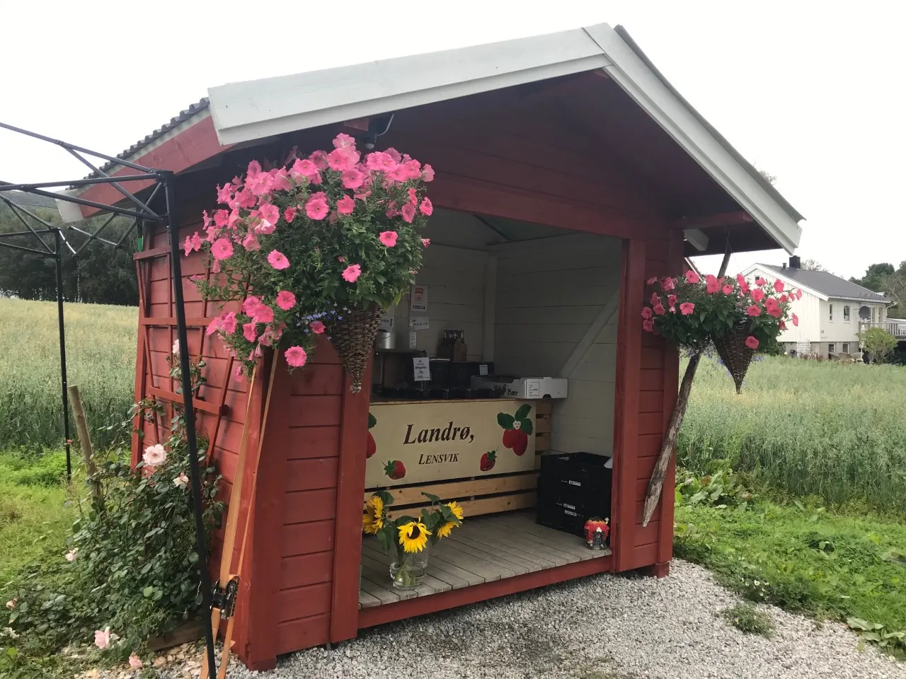 Landrø Lensvik