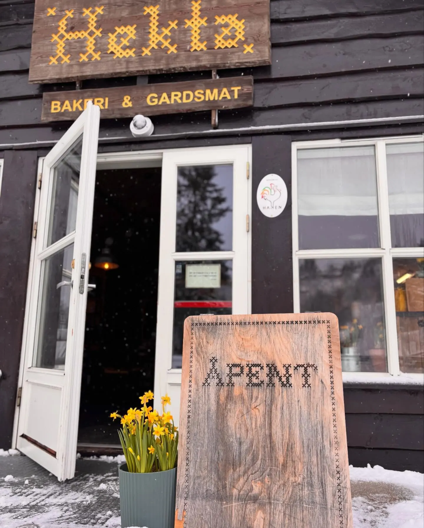 Hekta Sirdal