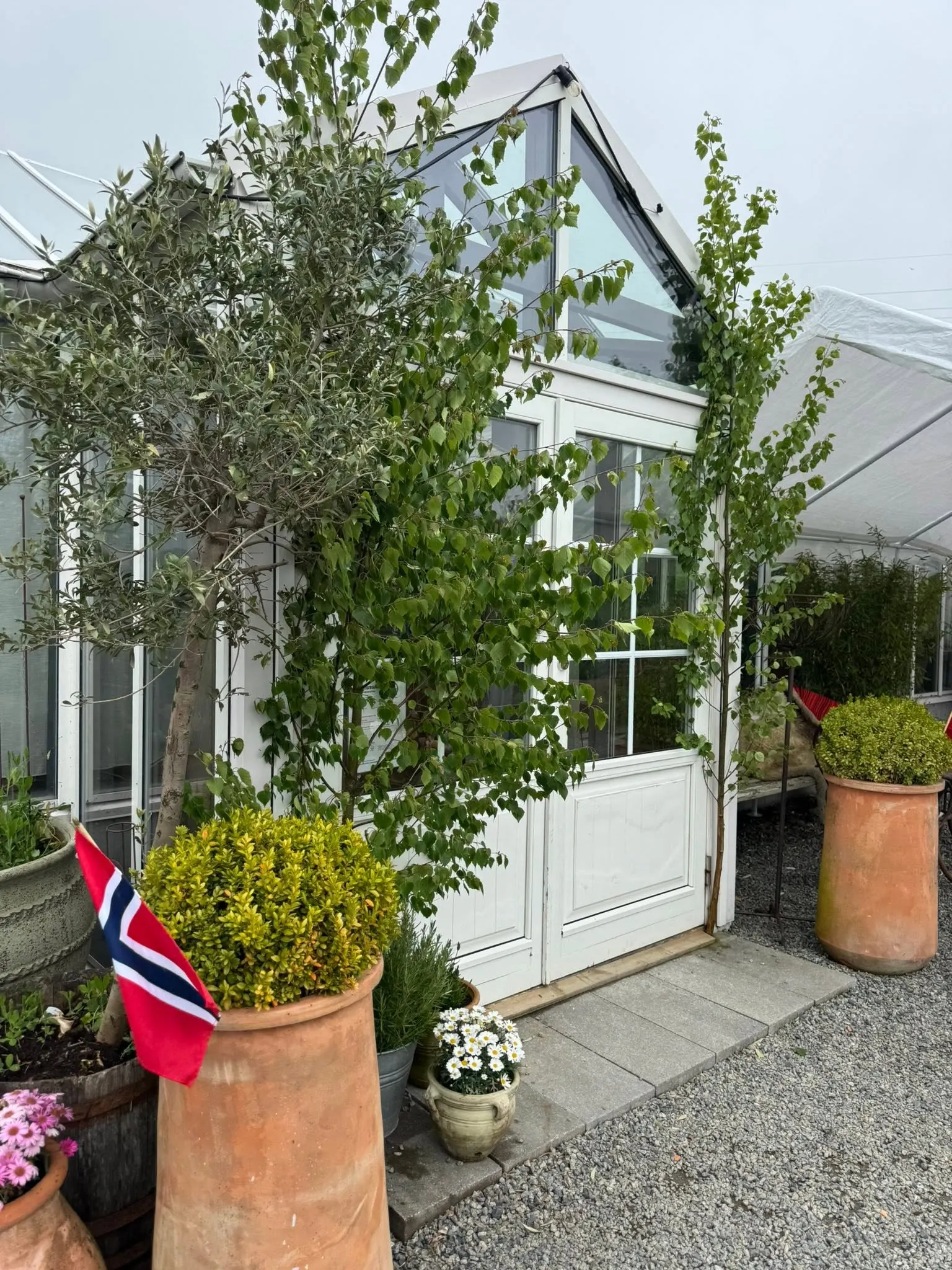 Drivhuset Bageri & Gårdsutsalg